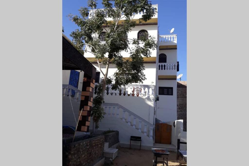 Private House With Garden And Terrace In Aswan Villa Eksteriør billede